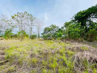 Residential Land For Sale in