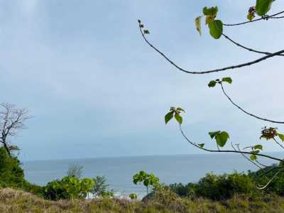 Residential Land For Sale in
