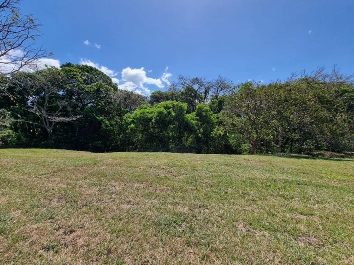 Picture of Residential Land For Sale in Alajuela, Alajuela, Costa Rica