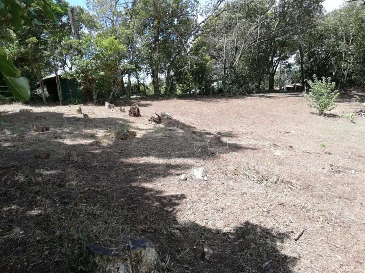 Picture of Residential Land For Sale in Puntarenas, Puntarenas, Costa Rica