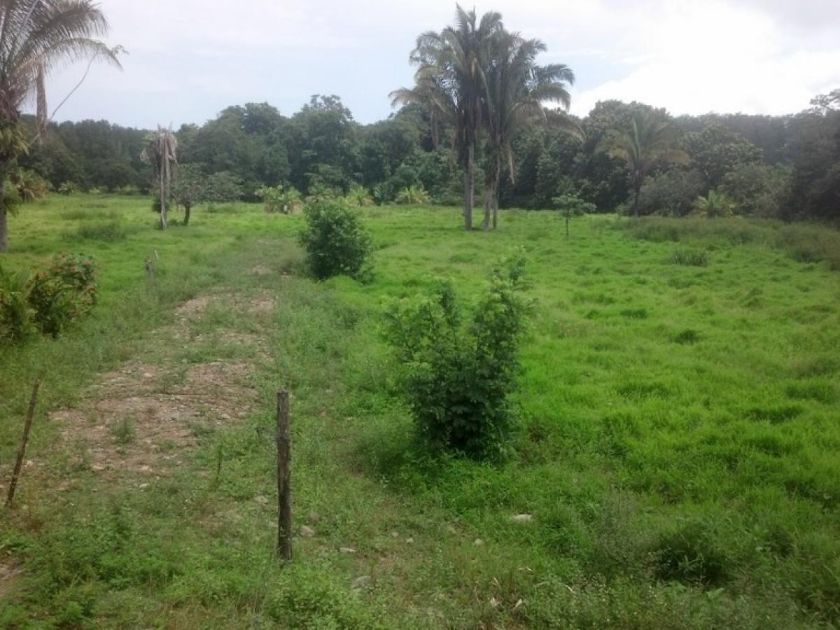 Picture of Residential Land For Sale in Osa, Puntarenas, Costa Rica