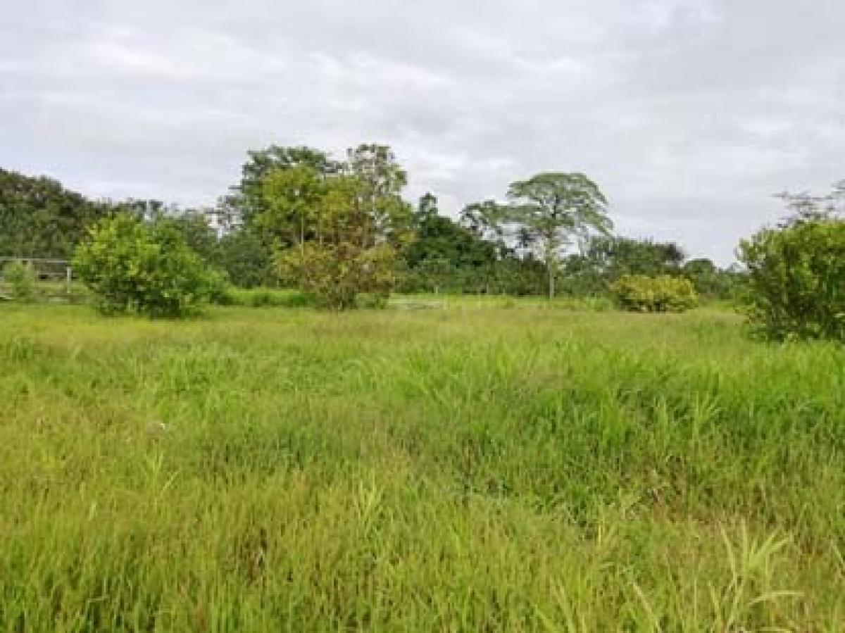 Picture of Residential Land For Sale in Sarapiqui, Heredia, Costa Rica