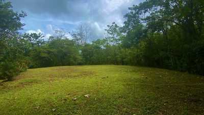 Residential Land For Sale in 