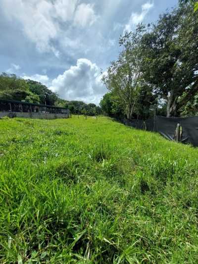 Residential Land For Sale in 