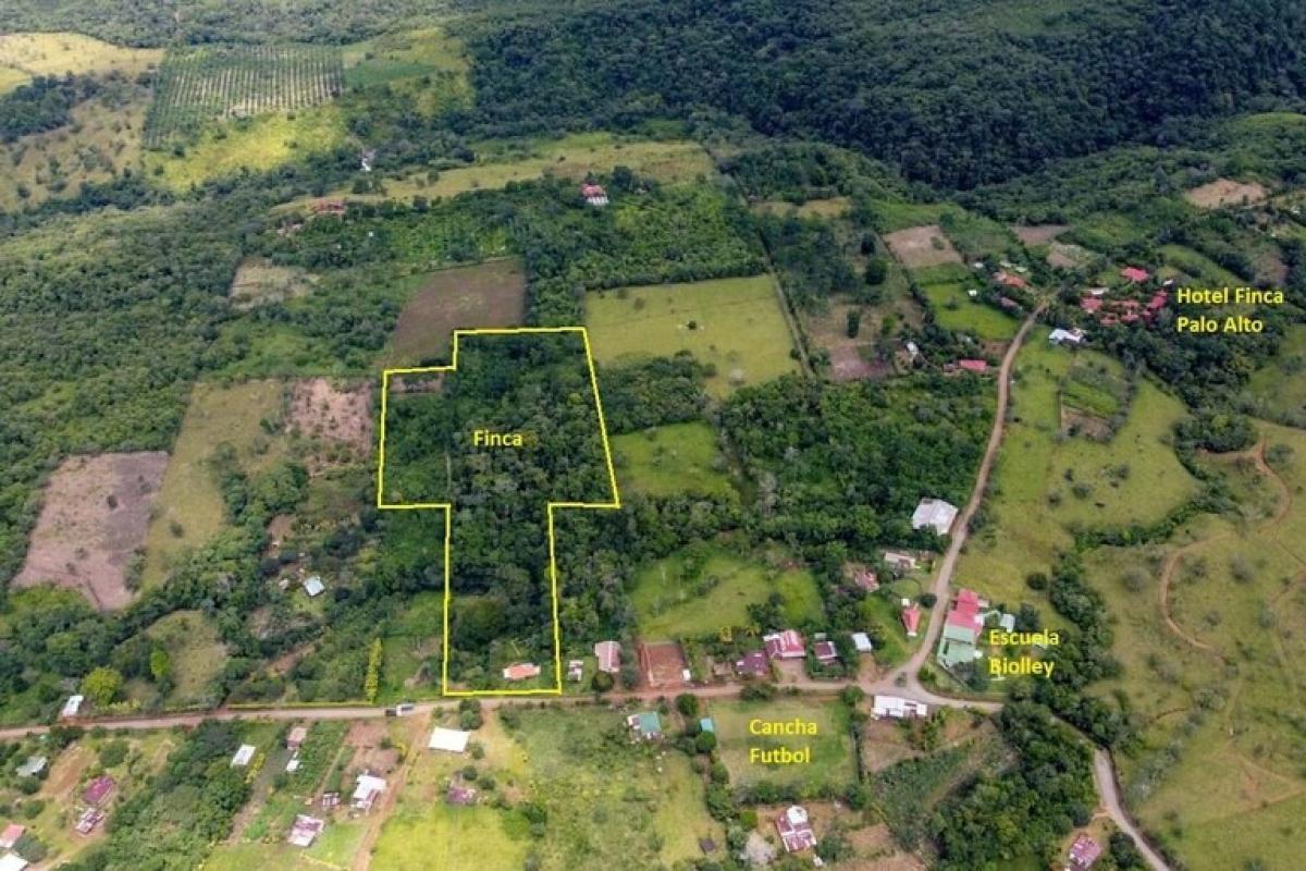 Picture of Residential Land For Sale in Buenos Aires, Puntarenas, Costa Rica