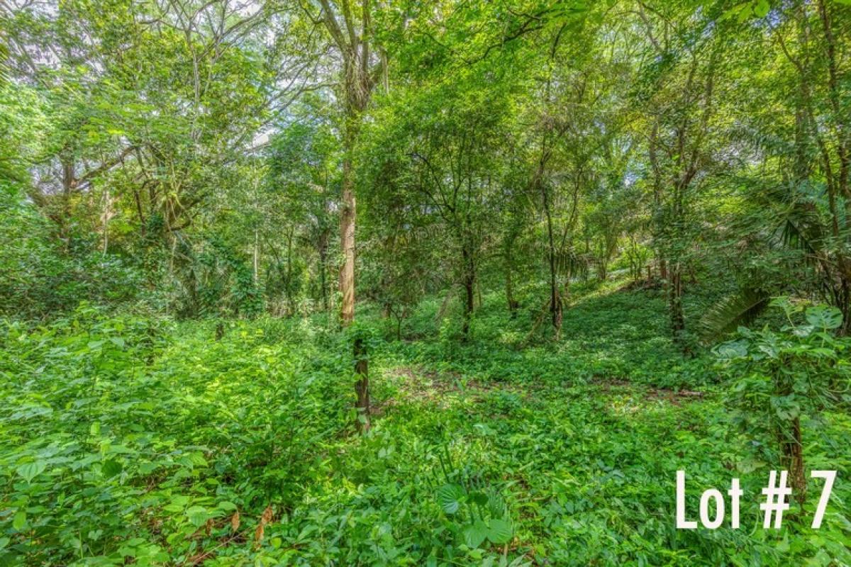 Picture of Residential Land For Sale in Nicoya, Guanacaste, Costa Rica