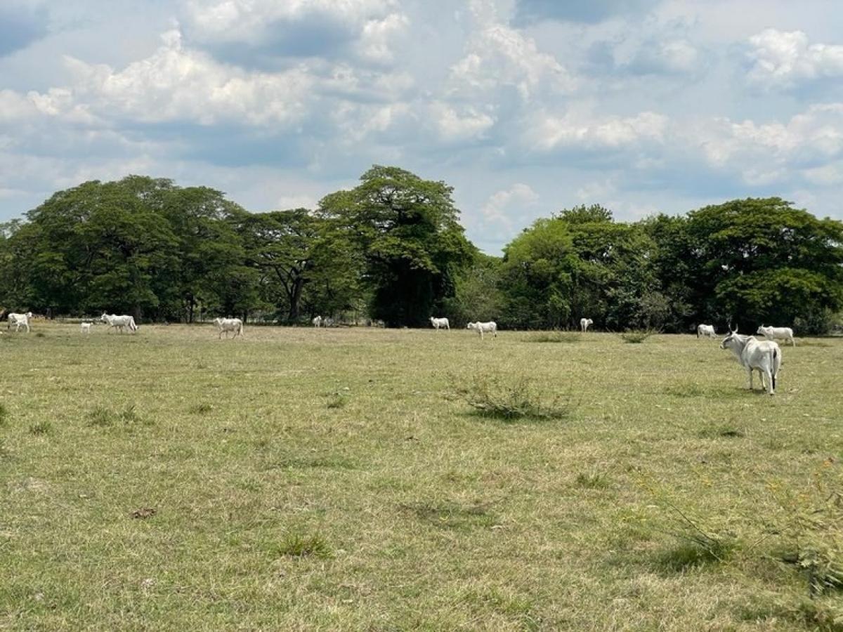 Picture of Residential Land For Sale in Carrillo, Guanacaste, Costa Rica