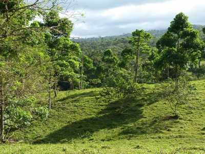 Residential Land For Sale in Upala, Costa Rica