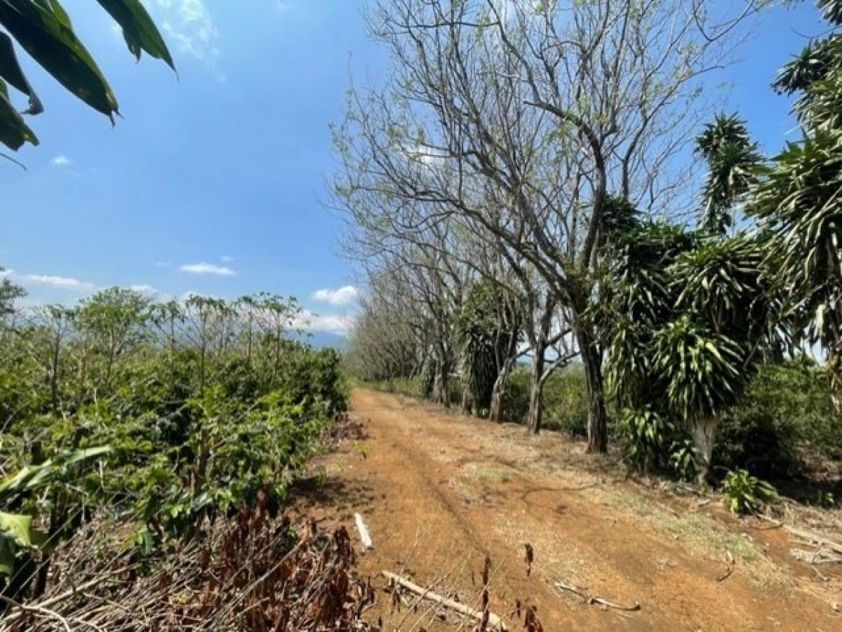 Picture of Residential Land For Sale in Alajuela, Alajuela, Costa Rica