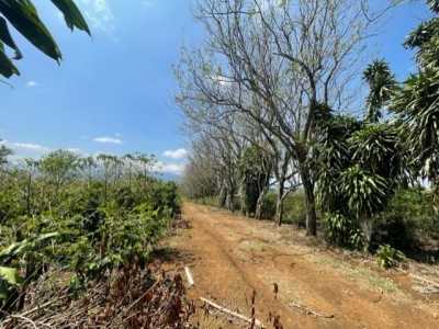 Residential Land For Sale in