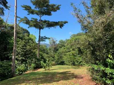 Residential Land For Sale in
