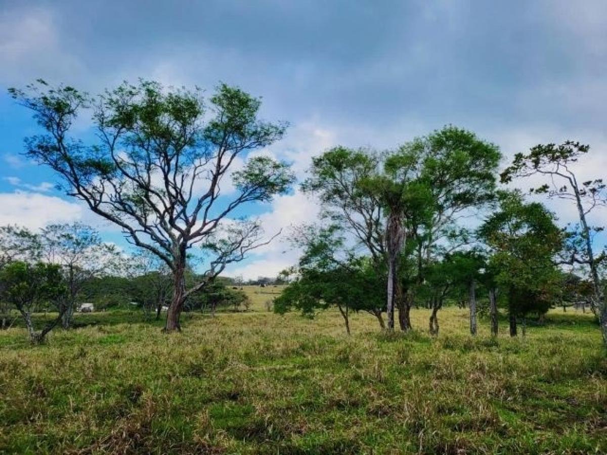 Picture of Residential Land For Sale in Tilaran, Guanacaste, Costa Rica