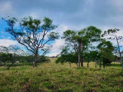 Residential Land For Sale in 