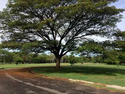 Residential Land For Sale in Liberia, Costa Rica