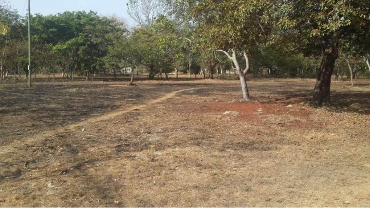 Picture of Residential Land For Sale in Liberia, Guanacaste, Costa Rica