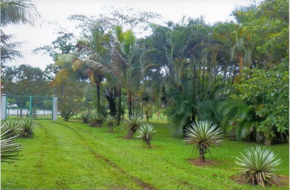 Picture of Home For Sale in Los Chiles, Alajuela, Costa Rica