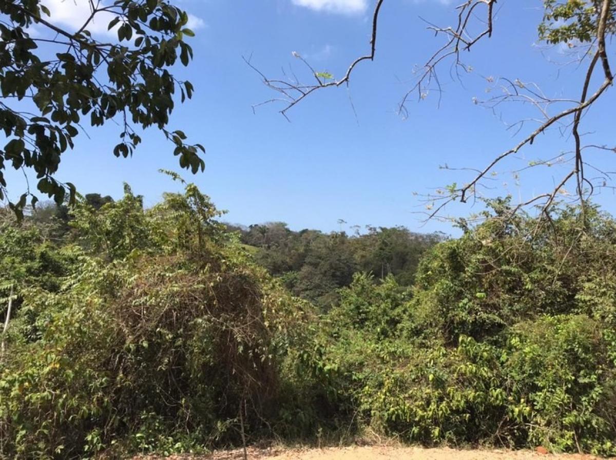 Picture of Residential Land For Sale in Puntarenas, Puntarenas, Costa Rica