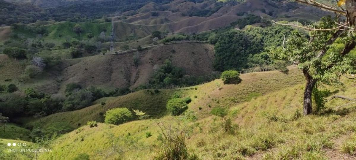 Picture of Residential Land For Sale in Puntarenas, Puntarenas, Costa Rica