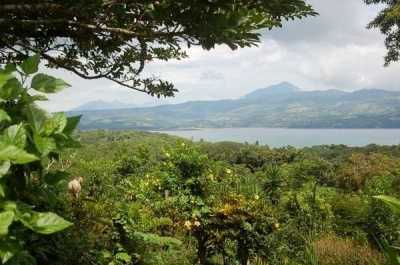 Residential Land For Sale in 