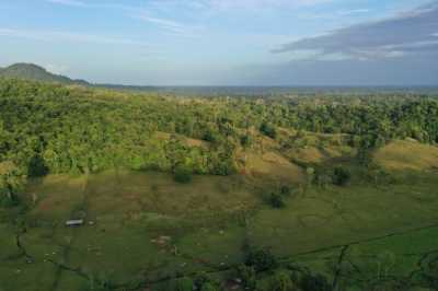 Residential Land For Sale in