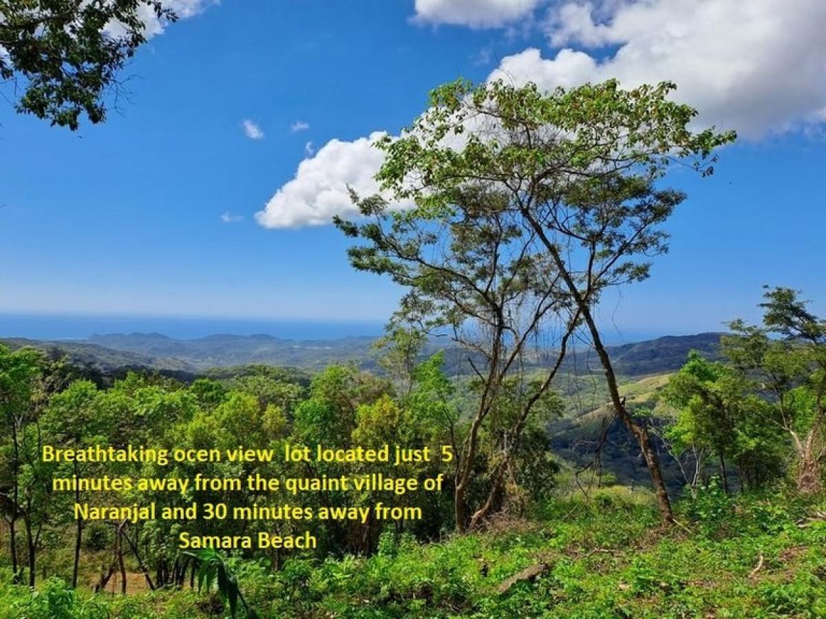 Picture of Residential Land For Sale in Nicoya, Guanacaste, Costa Rica