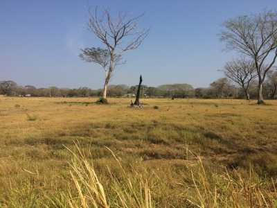 Residential Land For Sale in