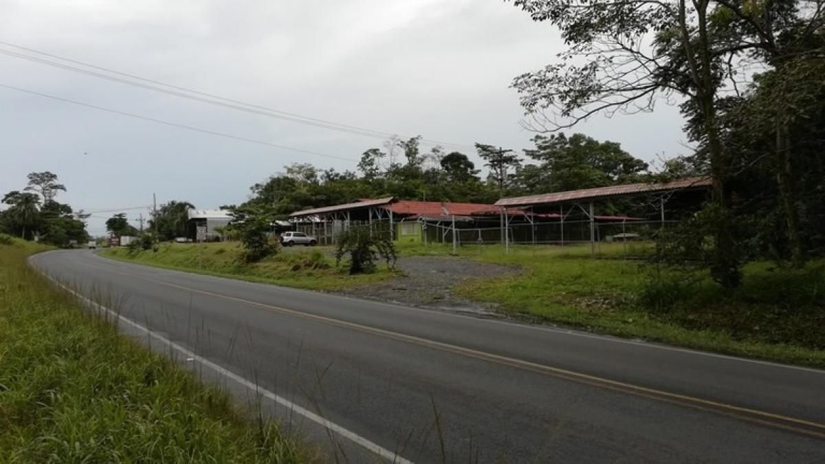Picture of Home For Sale in Limon, Limon, Costa Rica