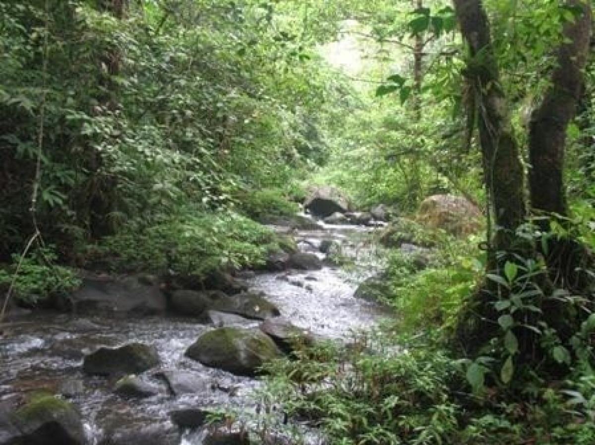 Picture of Residential Land For Sale in Tilaran, Guanacaste, Costa Rica