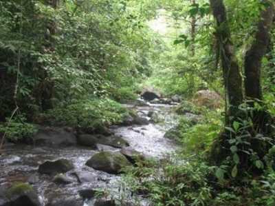 Residential Land For Sale in 