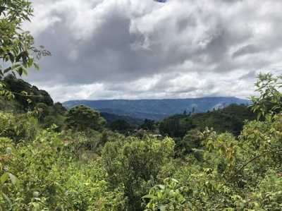 Residential Land For Sale in Desamparados, Costa Rica