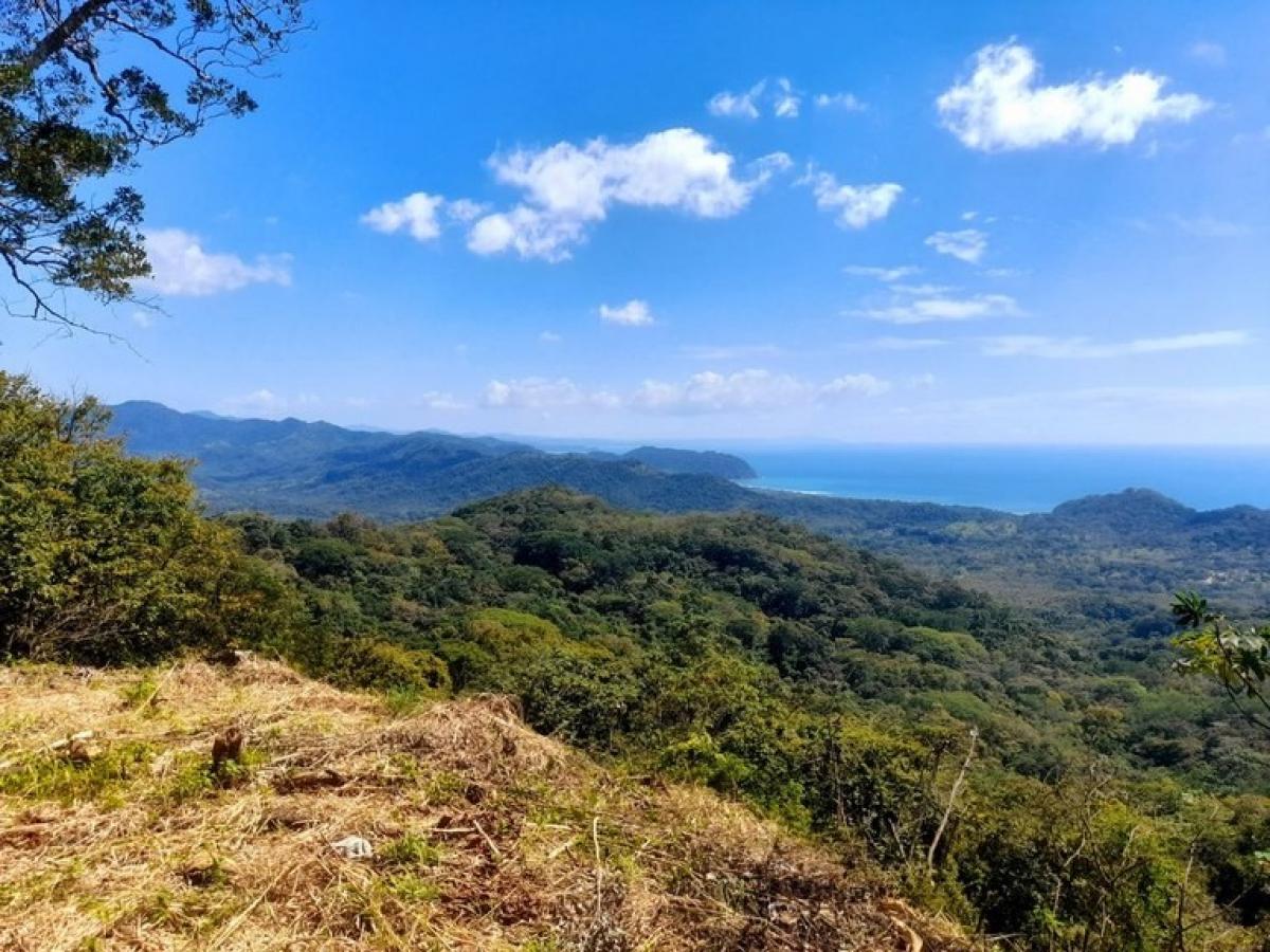 Picture of Residential Land For Sale in Hojancha, Guanacaste, Costa Rica