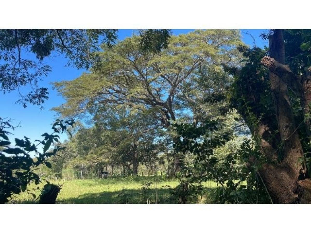 Picture of Residential Land For Sale in Liberia, Guanacaste, Costa Rica