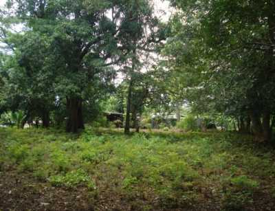 Residential Land For Sale in