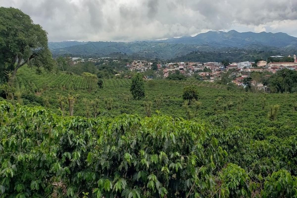 Picture of Home For Sale in Naranjo, Alajuela, Costa Rica