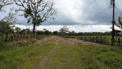 Residential Land For Sale in Sarapiqui, Costa Rica