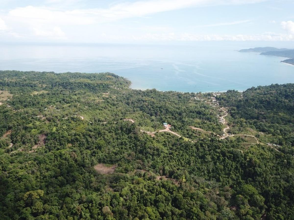 Picture of Residential Land For Sale in Osa, Puntarenas, Costa Rica