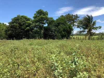 Residential Land For Sale in