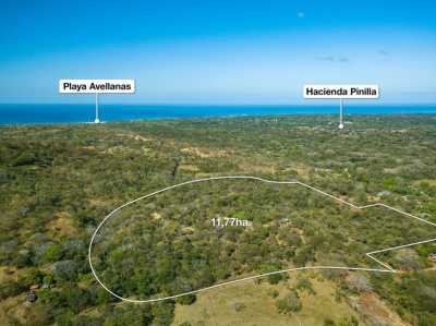 Residential Land For Sale in 