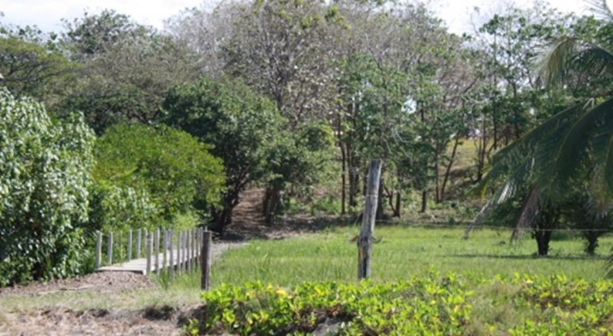 Picture of Residential Land For Sale in Santa Cruz, Guanacaste, Costa Rica