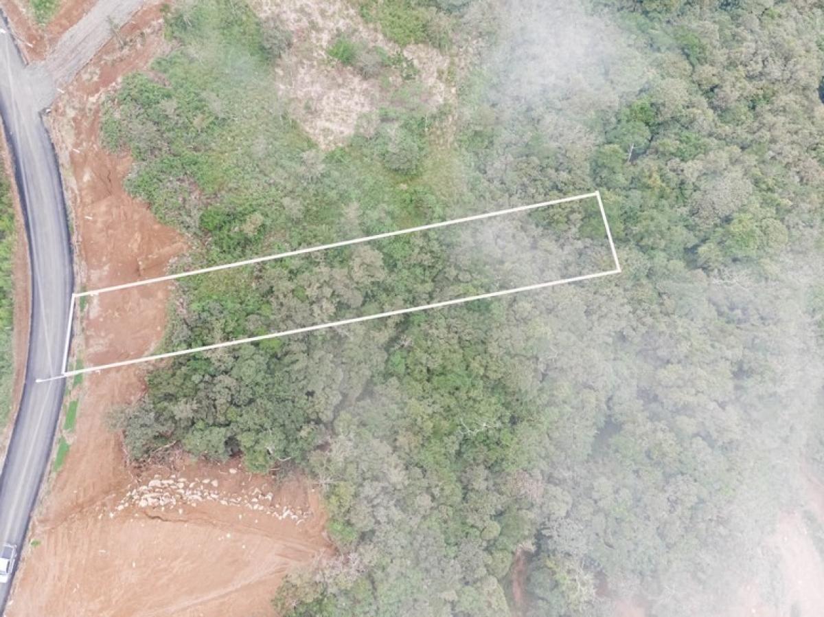 Picture of Residential Land For Sale in San Ramon, Alajuela, Costa Rica