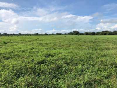 Residential Land For Sale in Carrillo, Costa Rica