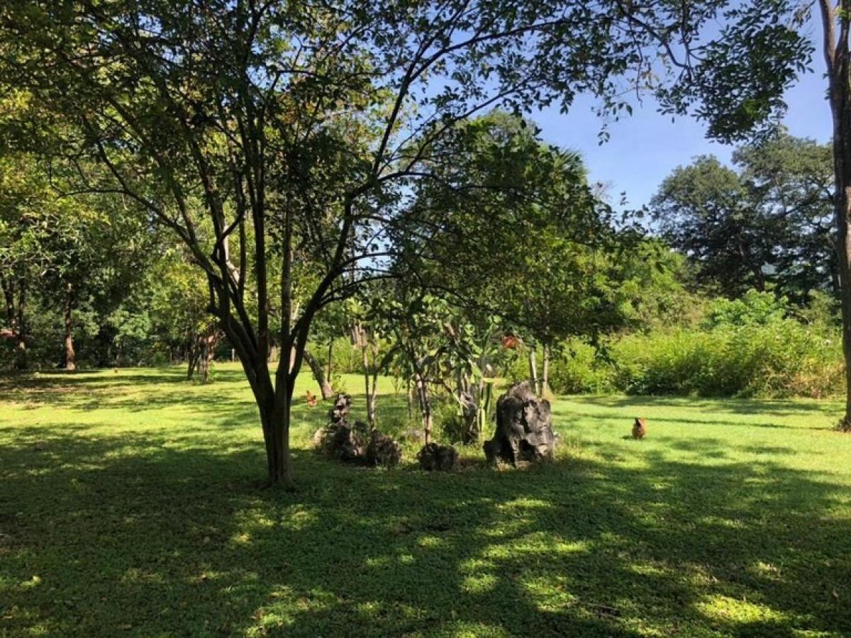 Picture of Home For Sale in Nicoya, Guanacaste, Costa Rica