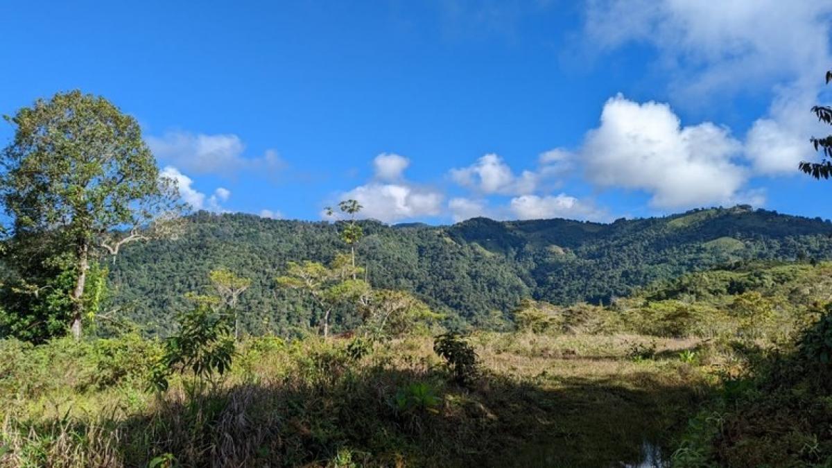 Picture of Residential Land For Sale in Perez Zeledon, San Jose, Costa Rica