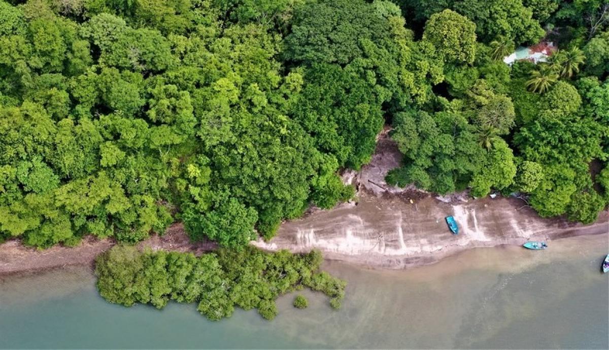 Picture of Residential Land For Sale in Puntarenas, Puntarenas, Costa Rica