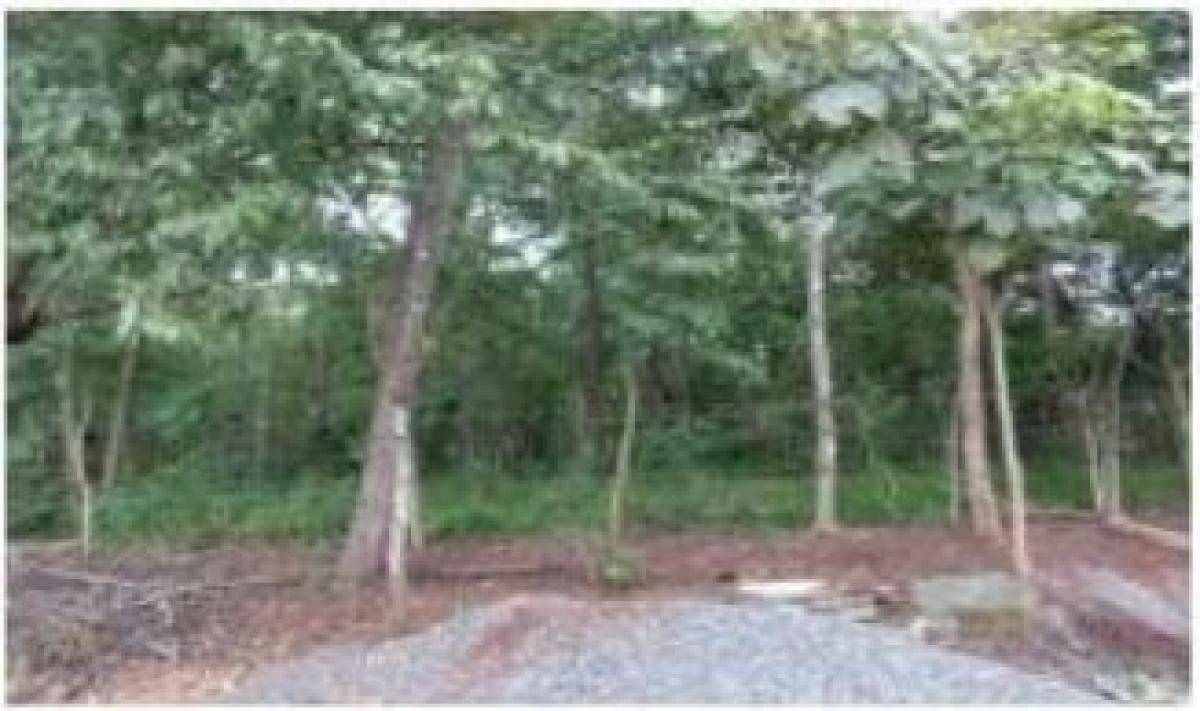 Picture of Residential Land For Sale in Garabito, Puntarenas, Costa Rica