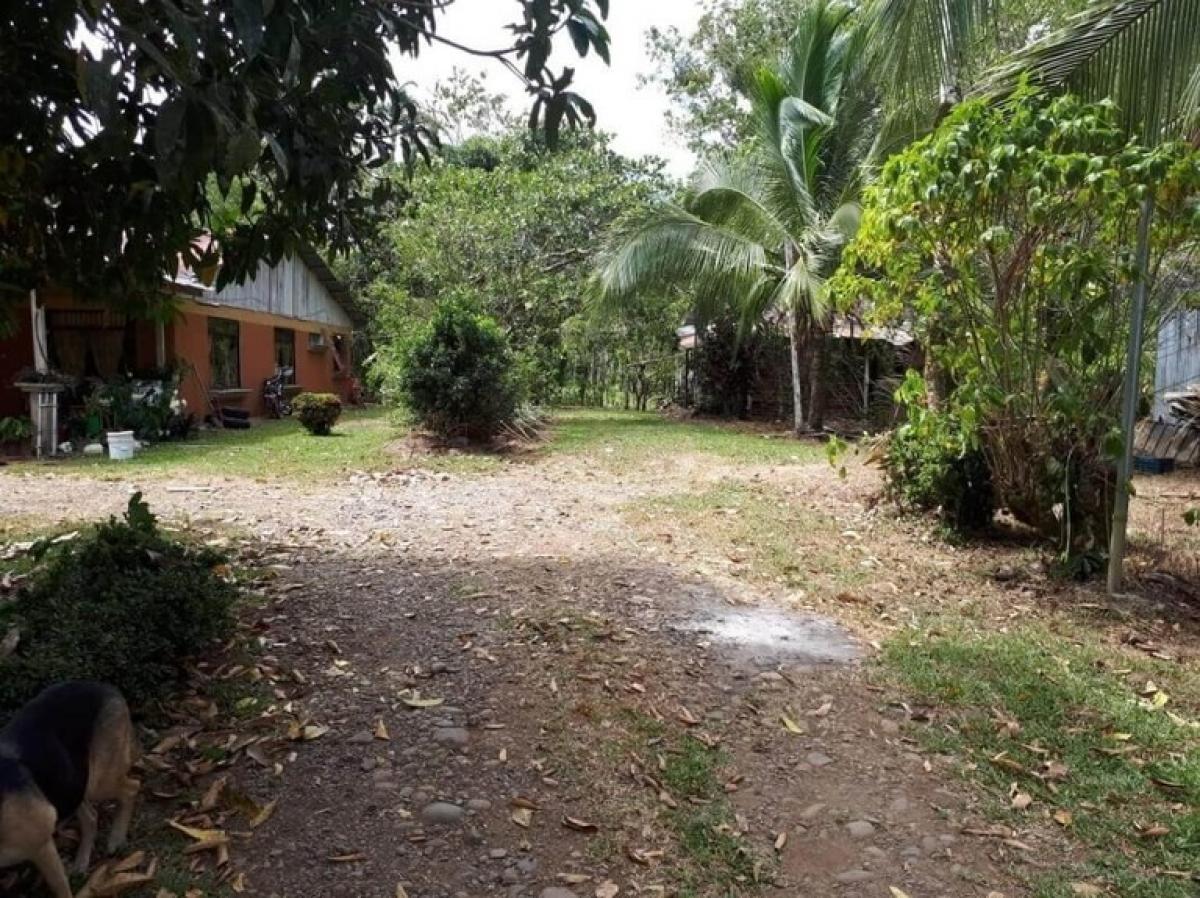 Picture of Residential Land For Sale in San Carlos, Alajuela, Costa Rica