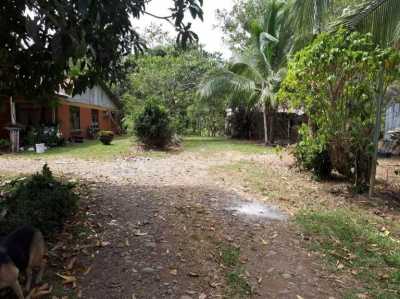 Residential Land For Sale in San Carlos, Costa Rica