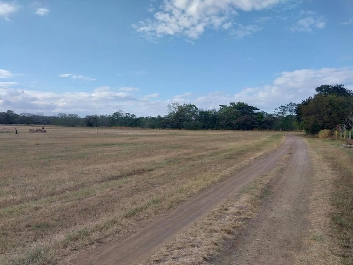 Picture of Residential Land For Sale in Santa Cruz, Guanacaste, Costa Rica