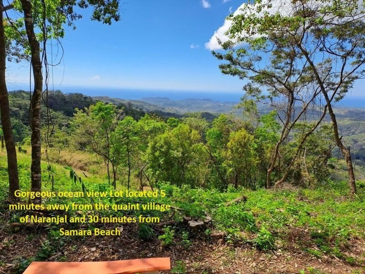 Picture of Residential Land For Sale in Nicoya, Guanacaste, Costa Rica