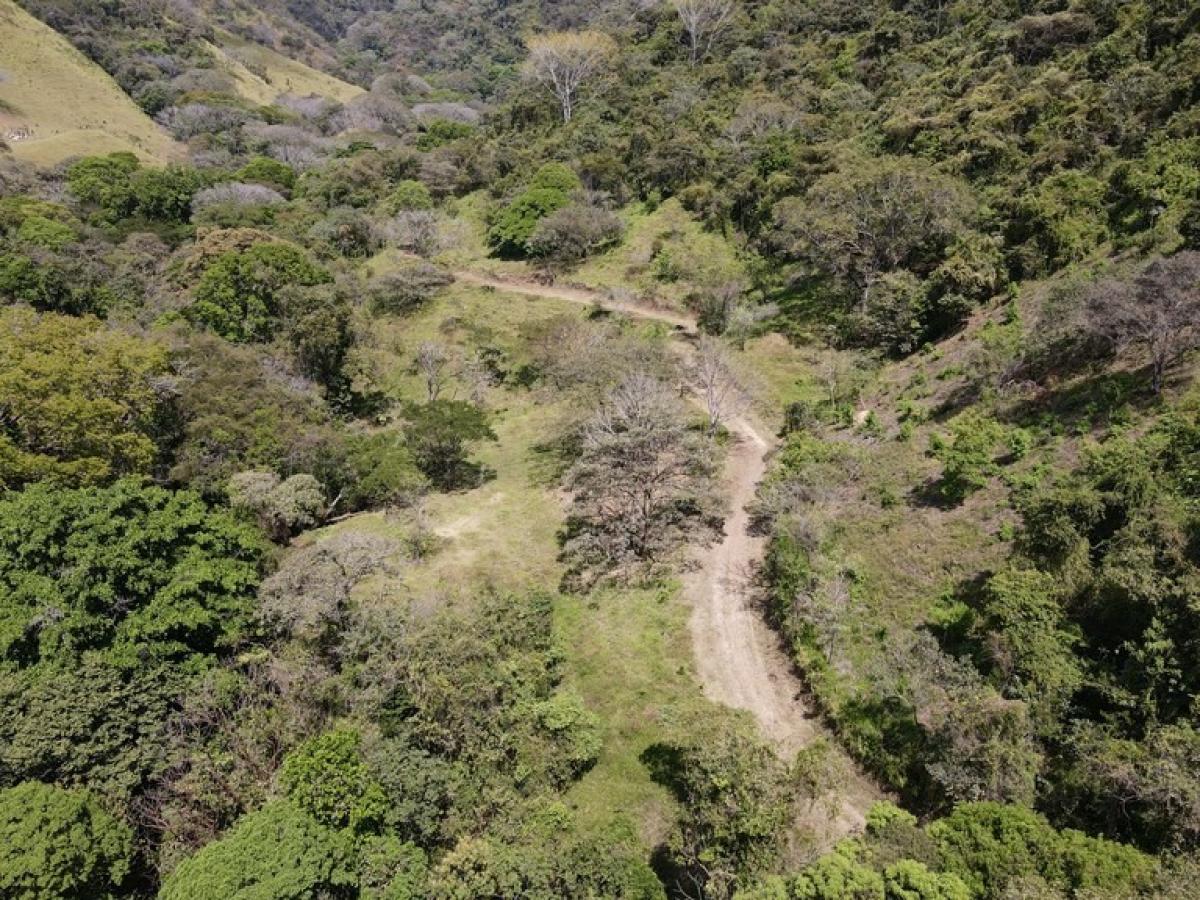 Picture of Residential Land For Sale in Atenas, Alajuela, Costa Rica